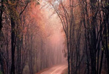 The Canyon We Must Cross: From Geology to Groundbreaking Tech