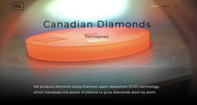 SRL: Meaning, Fall Protection, and Blockchain – What We Know